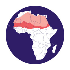 Le défi de l’agriculture au Sahel