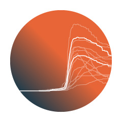 Response to Covid-19